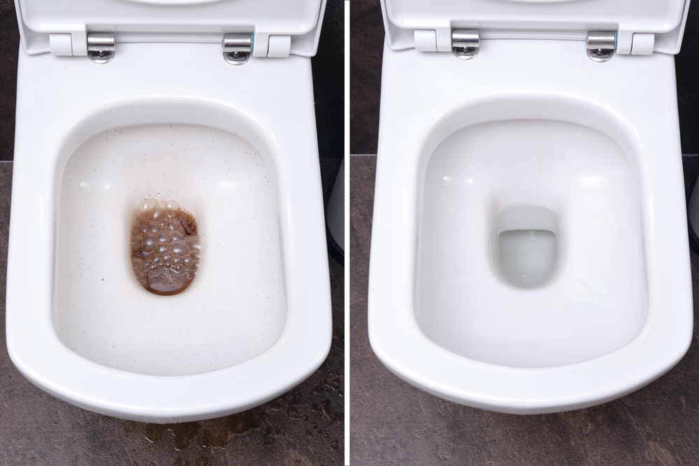 Comment déboucher vos toilettes avec du cellophane ? - Vidéo Dailymotion